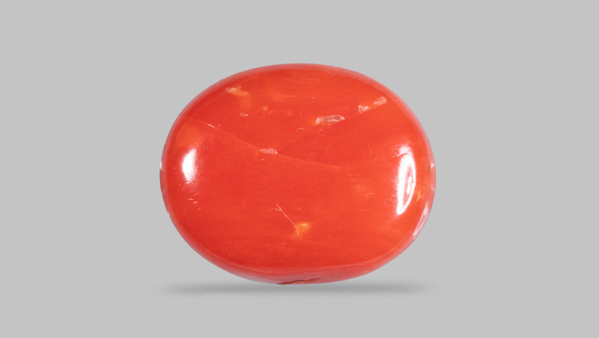 Italian Red Coral 10.38 Carats / 11.41 Ratti