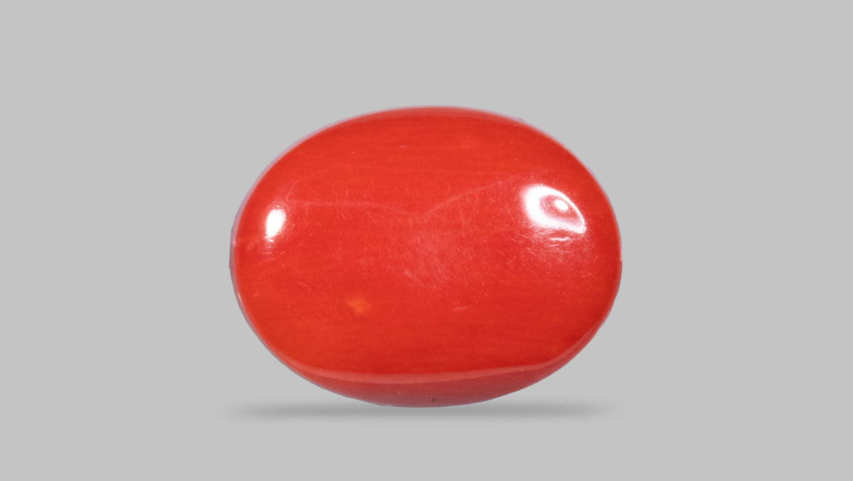 Italian Red Coral 13.26 Carats / 14.57 Ratti