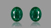 Zambian Emerald (Panna) 12.50 Carats / 13.74 Ratti