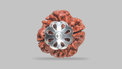 4 MUKHI RUDRAKSHA (18.85 mm) / 15.36 Ratti
