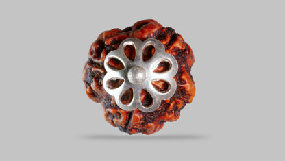 4 MUKHI RUDRAKSHA (20.16 mm)