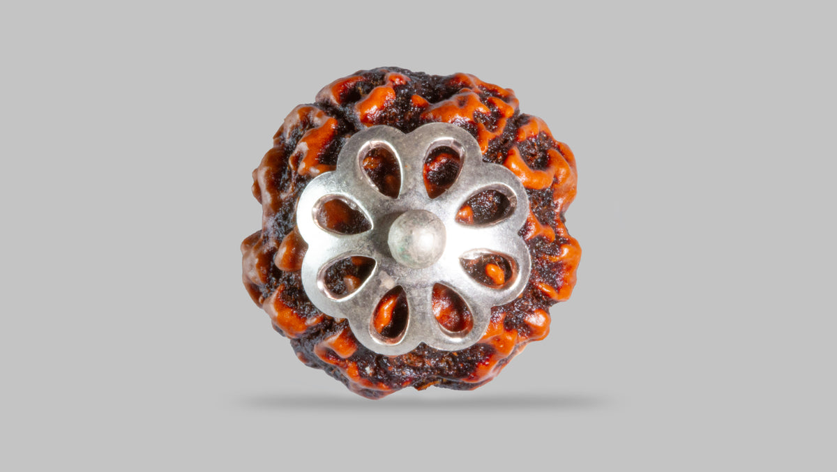 4 MUKHI RUDRAKSHA (18.45 mm)