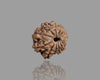 15 MUKHI RUDRAKSHA (18.41 mm)