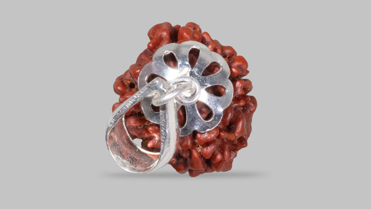 4 MUKHI RUDRAKSHA (17.65 mm)