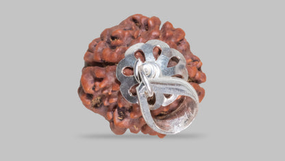 4 MUKHI RUDRAKSHA (19.05 mm)