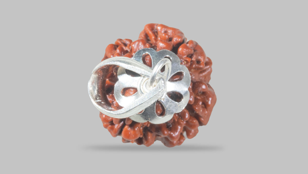 4 MUKHI RUDRAKSHA (18.00 mm) / 13.48 Ratti