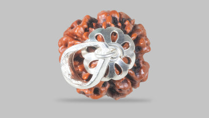 4 MUKHI RUDRAKSHA (18.80 mm) / 14.85 Ratti