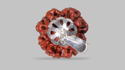 4 MUKHI RUDRAKSHA (19.60 mm)