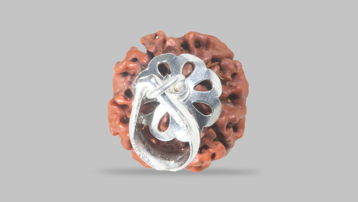 4 MUKHI RUDRAKSHA (17.87 mm) / 12.21 Ratti