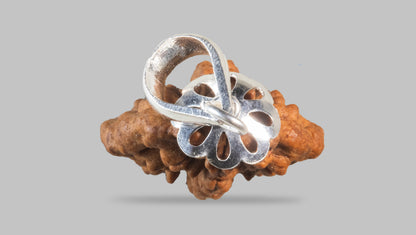 2 MUKHI RUDRAKSHA (28.11 mm)