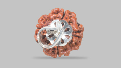 4 MUKHI RUDRAKSHA (20.52 mm) / 18.21 Ratti