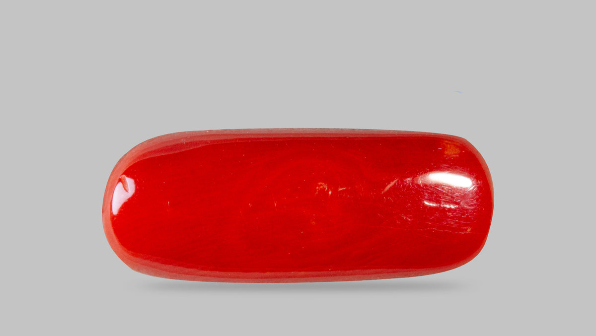 Italian Red Coral 8.40 Carats / 9.23 Ratti