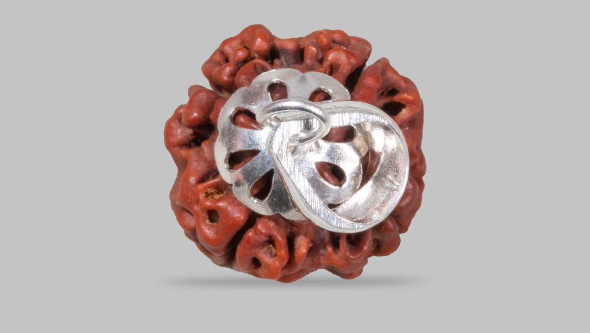 4 MUKHI RUDRAKSHA (18.70 mm)