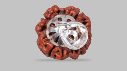 4 MUKHI RUDRAKSHA (18.70 mm)