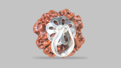 4 MUKHI RUDRAKSHA(18.92 mm) / 15.18 Ratti