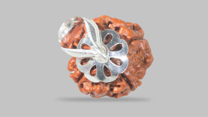 4 MUKHI RUDRAKSHA (17.30 mm) / 12.32 Ratti