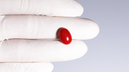 Japanese Red Coral 5.57 Carats / 6.12 Ratti
