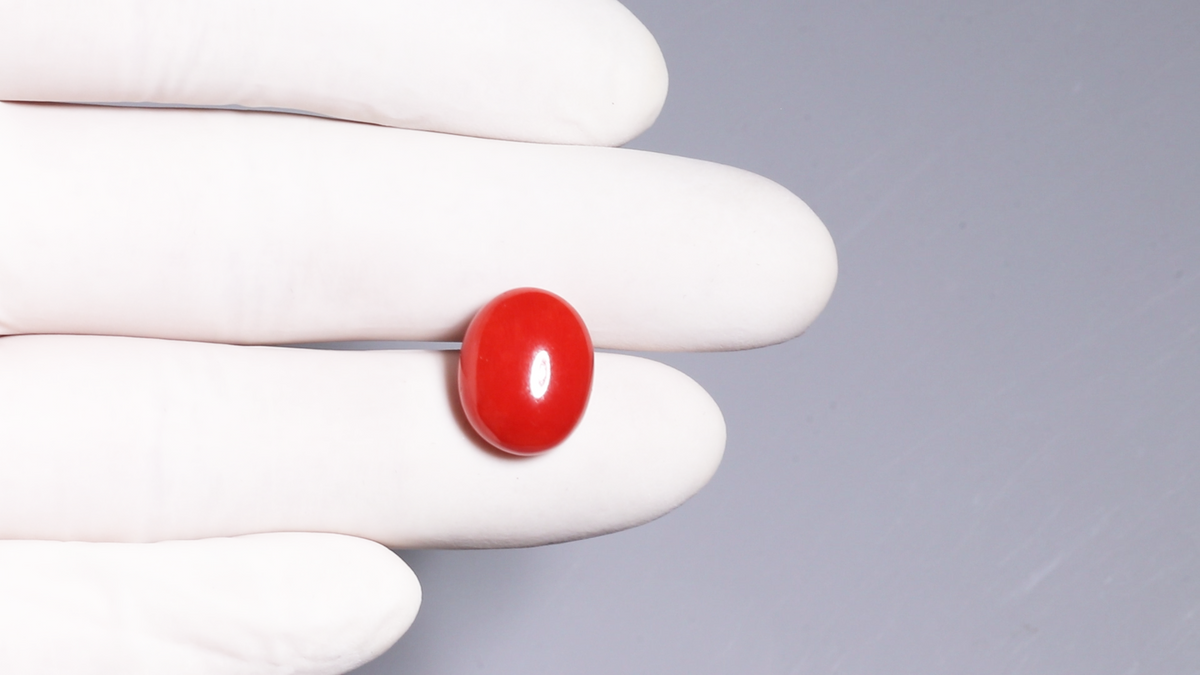 Italian Red Coral 10.38 Carats / 11.41 Ratti