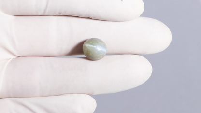 Cat's Eye (Lehsuniya) 9.32 Carats / 10.24 Ratti