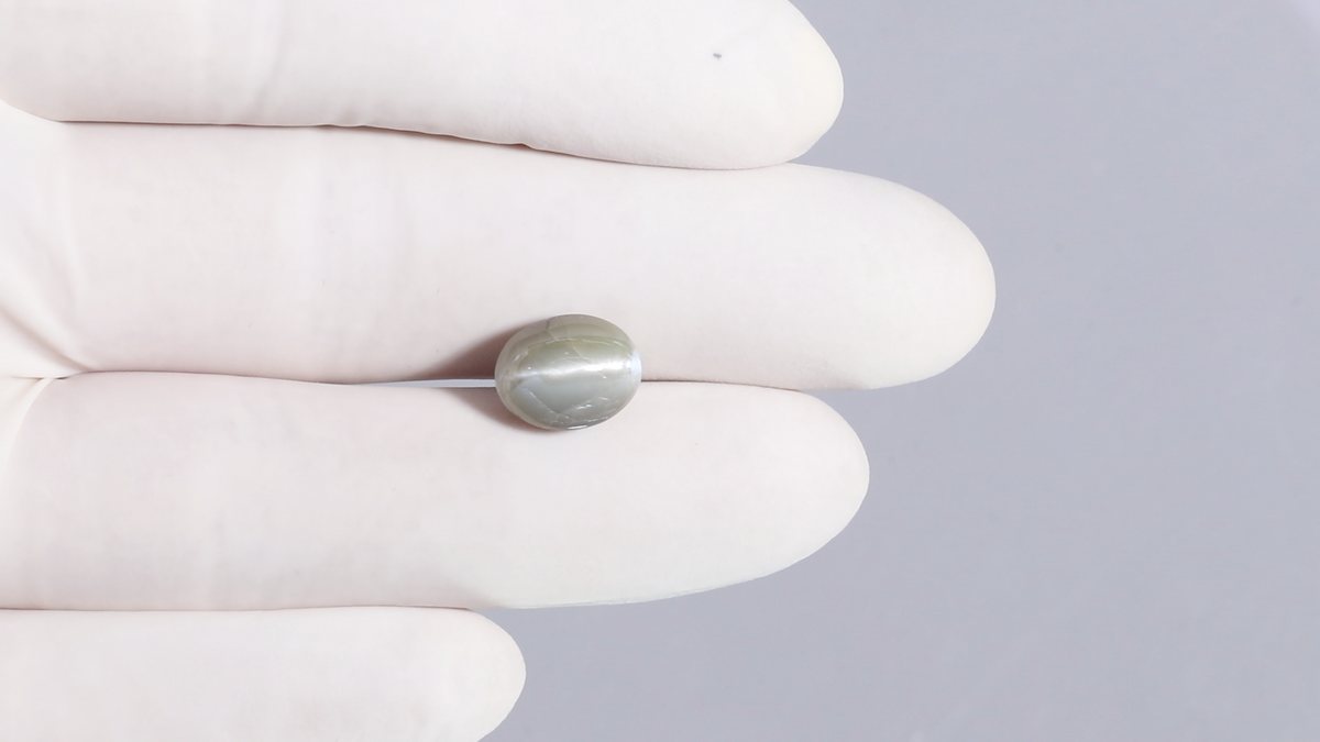 Cat's Eye (Lehsuniya) 7.78 Carats / 8.55 Ratti
