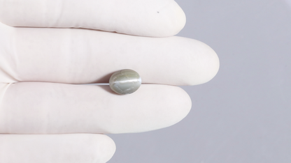 Cat's Eye (Lehsuniya) 7.78 Carats / 8.55 Ratti