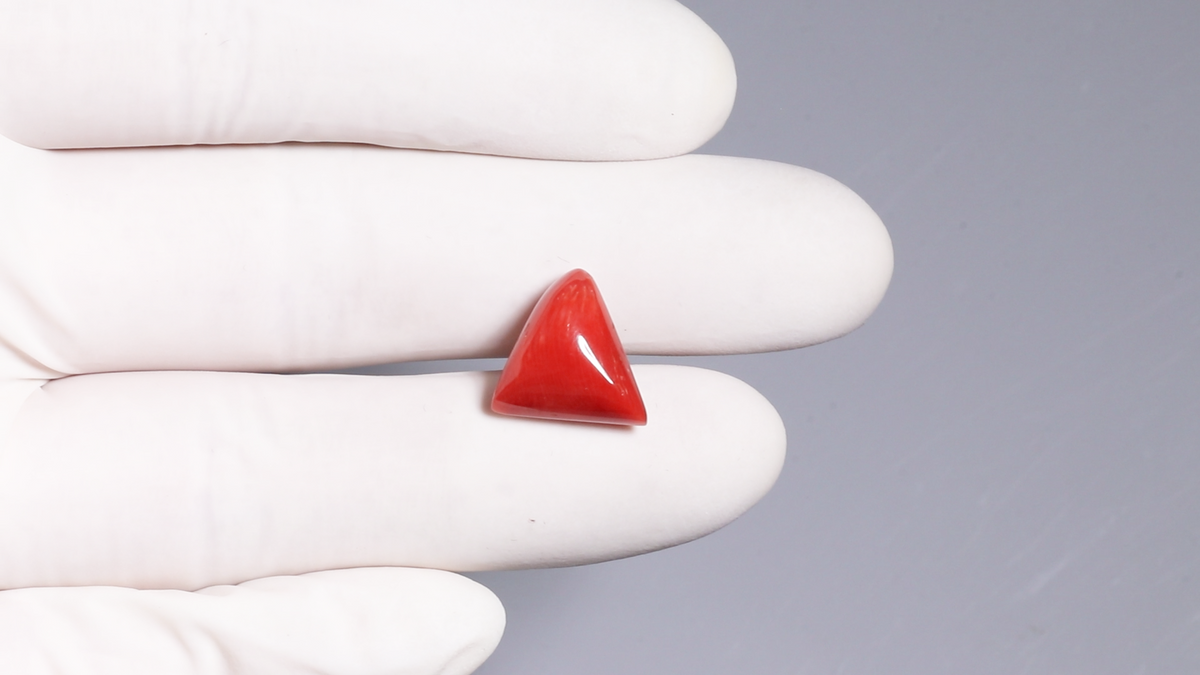 Italian Red Coral 9.01 Carats / 9.9 Ratti