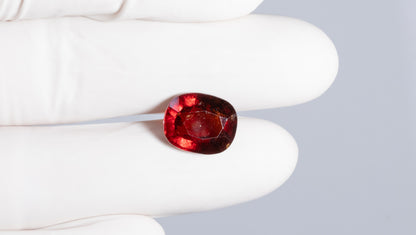 Sri-Lankan Hessonite (Gomed) 8.32 Carats / 9.14 Ratti