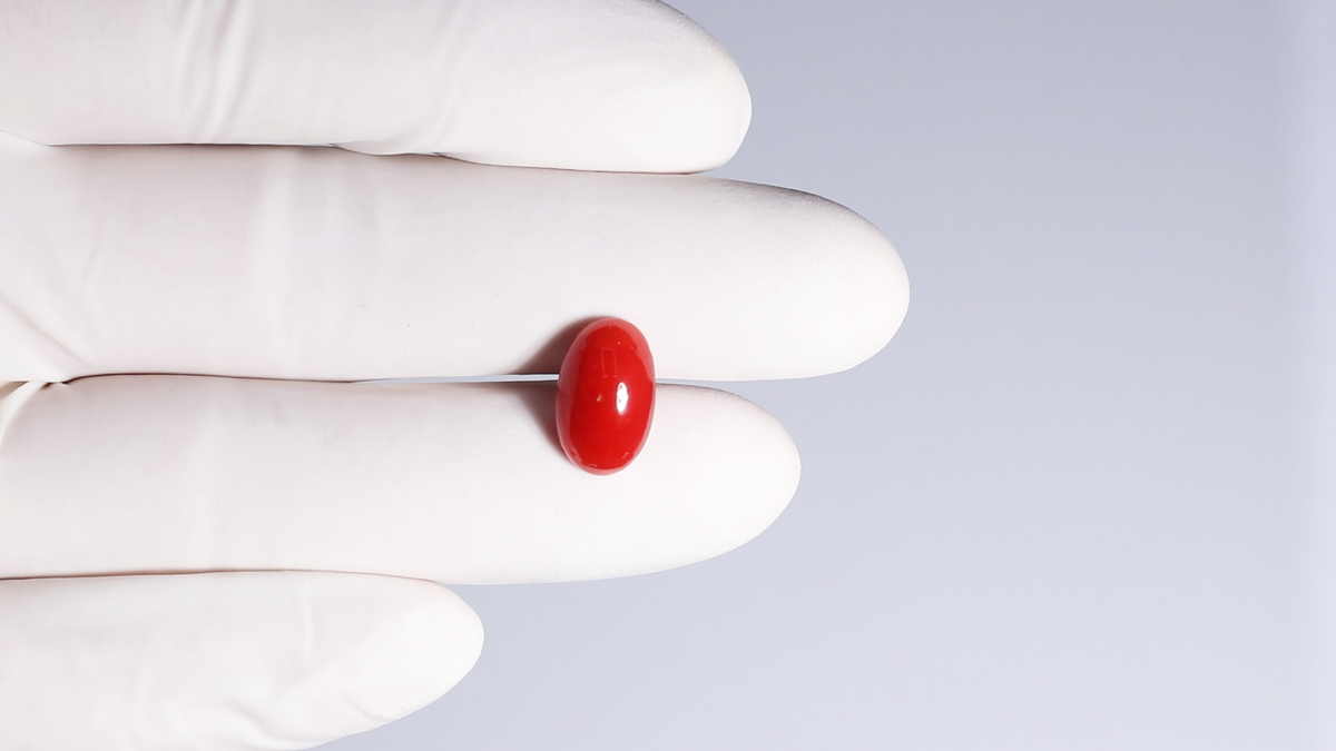 Japanese Red Coral 5.58 Carats / 6.13 Ratti