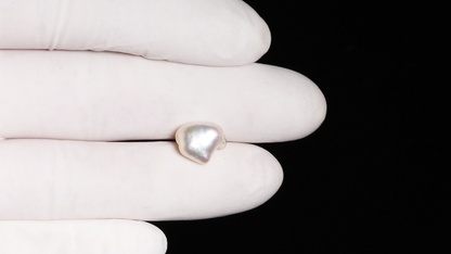 Venezuela Pearl 4.51 Carats / 4.96 Ratti