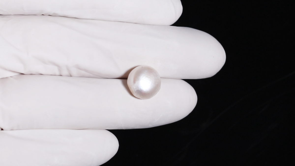 Fresh Water Pearl 7.80 Carats / 8.57 Ratti