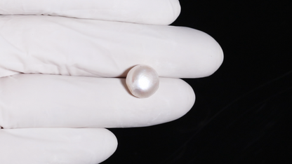 Fresh Water Pearl 7.80 Carats / 8.57 Ratti