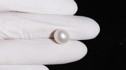 Fresh Water Pearl 9.92 Carats / 10.9 Ratti
