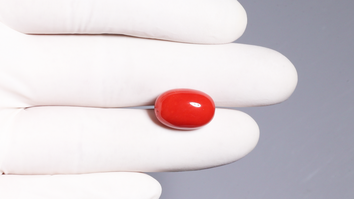 Italian Red Coral 12.22 Carats / 13.43 Ratti