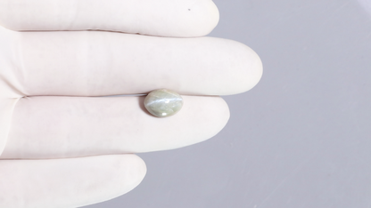 Cat's Eye (Lehsuniya) 6.59 Carats / 7.24 Ratti
