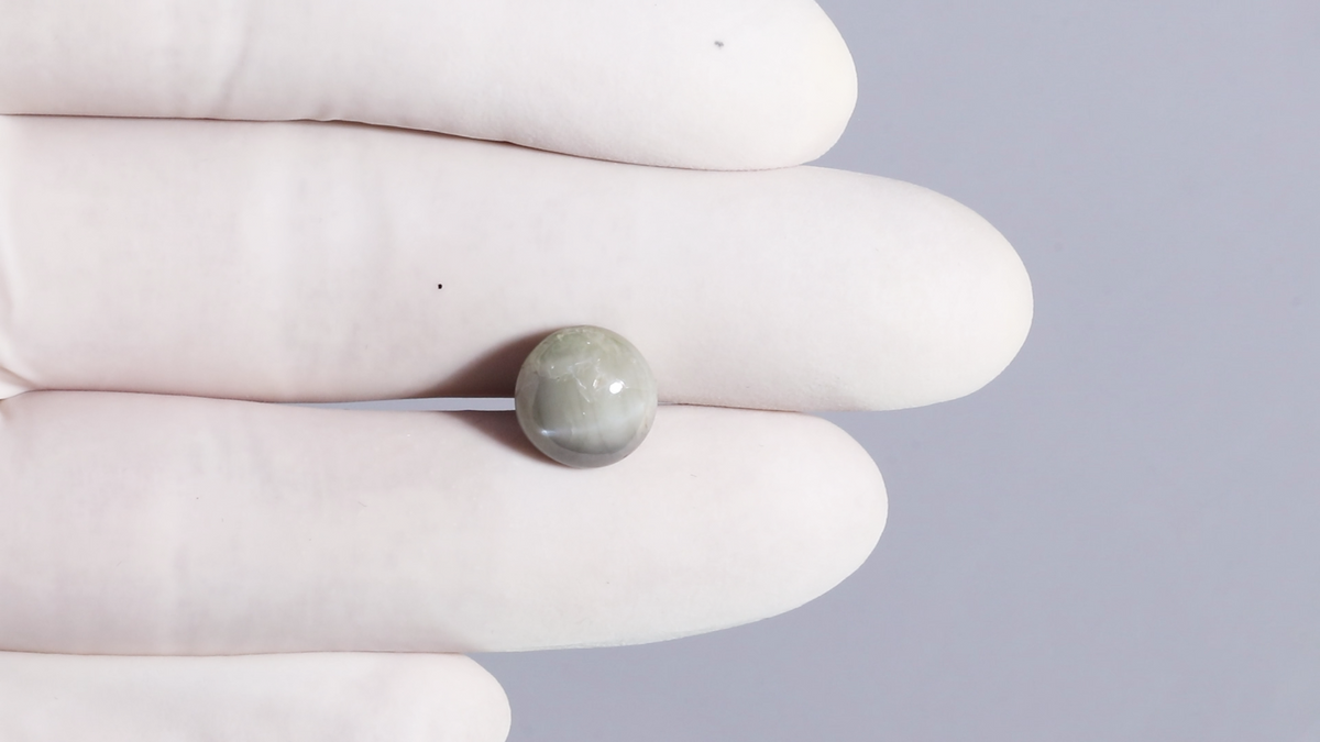 Cat's Eye (Lehsuniya) 7.81 Carats / 8.58 Ratti