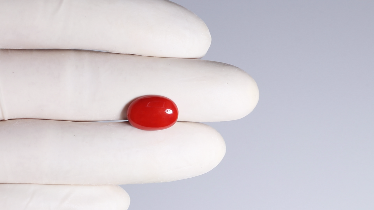 Japanese Red Coral 5.47 Carats / 6.01 Ratti