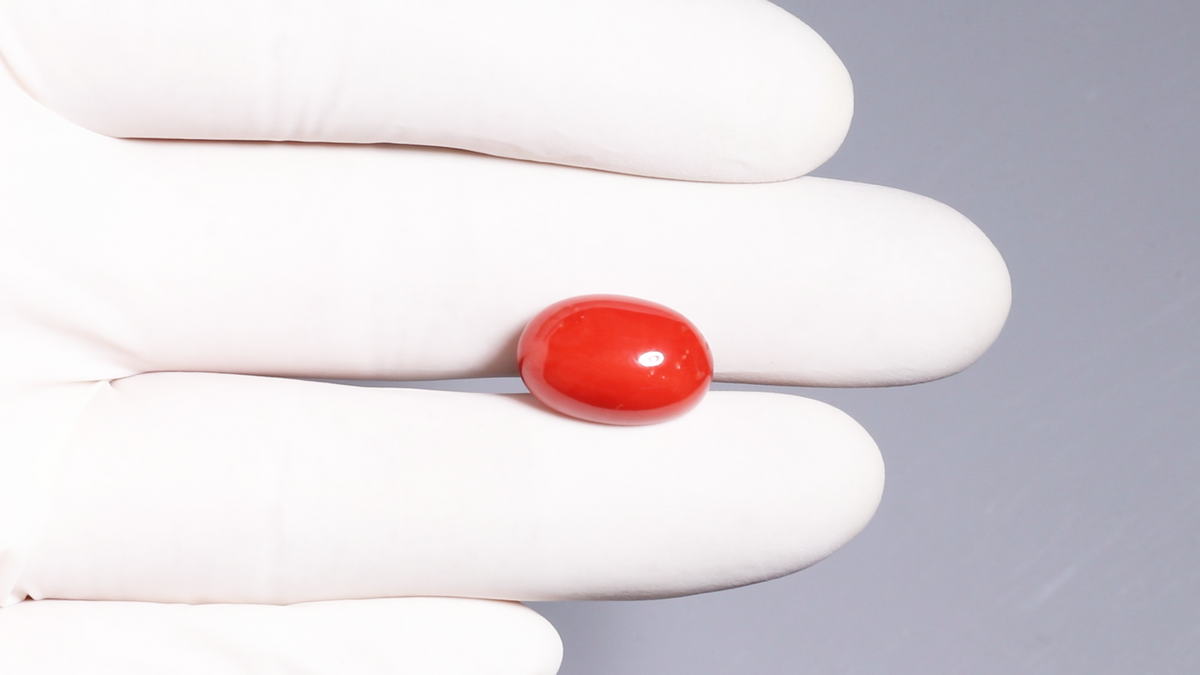 Italian Red Coral 12.24 Carats / 13.45 Ratti