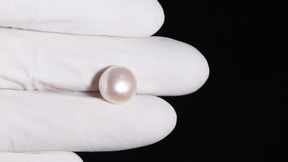 Fresh Water Pearl 10.05 Carats / 11.04 Ratti