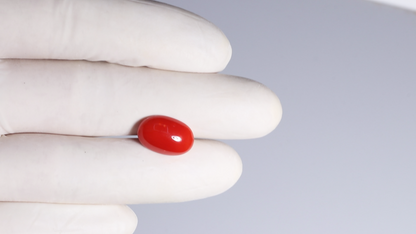 Japanese Red Coral 5.84 Carats / 6.42 Ratti