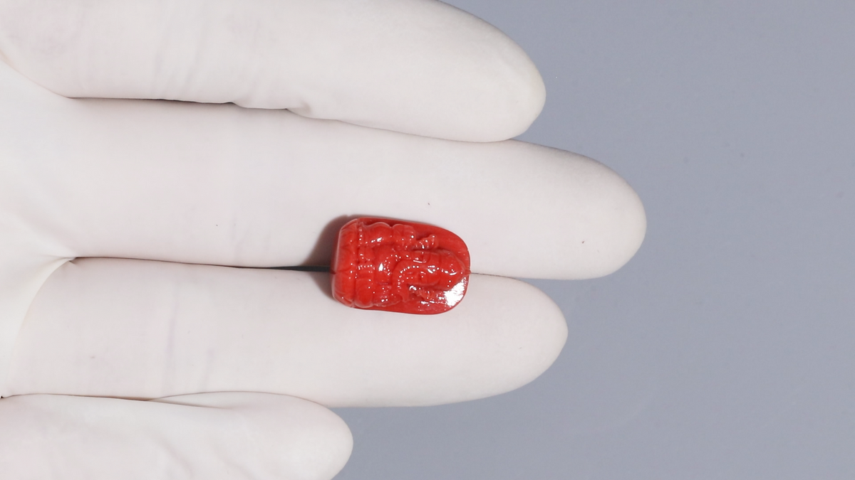 Ganesh Carving Red Coral 17.43 Carats / 19.15 Ratti
