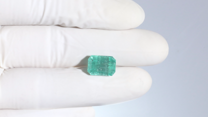 Minor Oil Afganistan Emerald 7.35 Carats / 8.08 Ratti