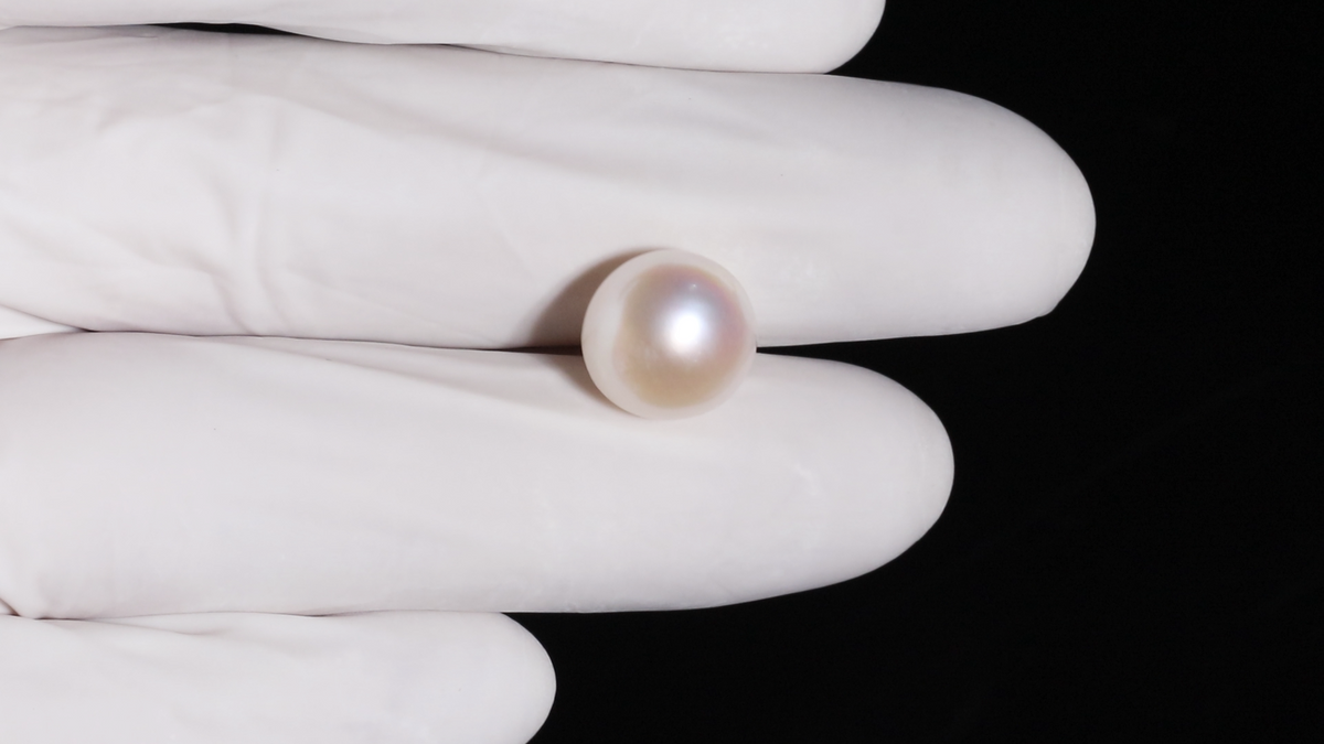 Fresh Water Pearl 10.08 Carats / 11.08 Ratti