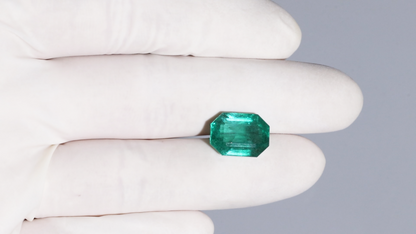 Minor Oil Zambian Emerald 8.52 Carats / 9.36 Ratti