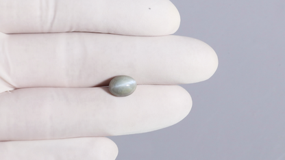 Cat's Eye (Lehsuniya) 4.03 Carats / 4.43 Ratti