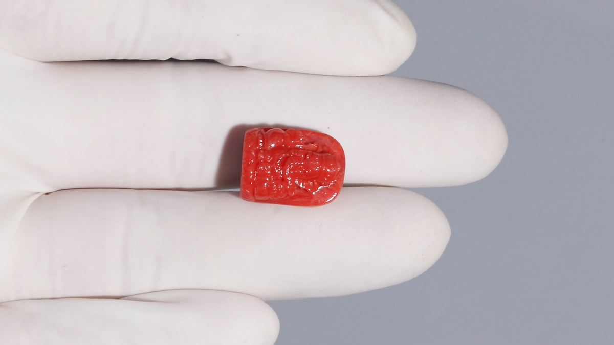Ganesh Carving Red Coral 17.00 Carats / 18.68 Ratti