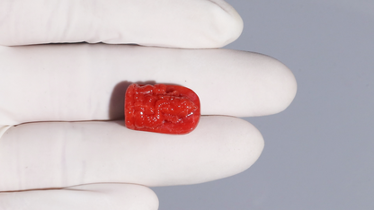 Ganesh Carving Red Coral 25.32 Carats / 27.82 Ratti