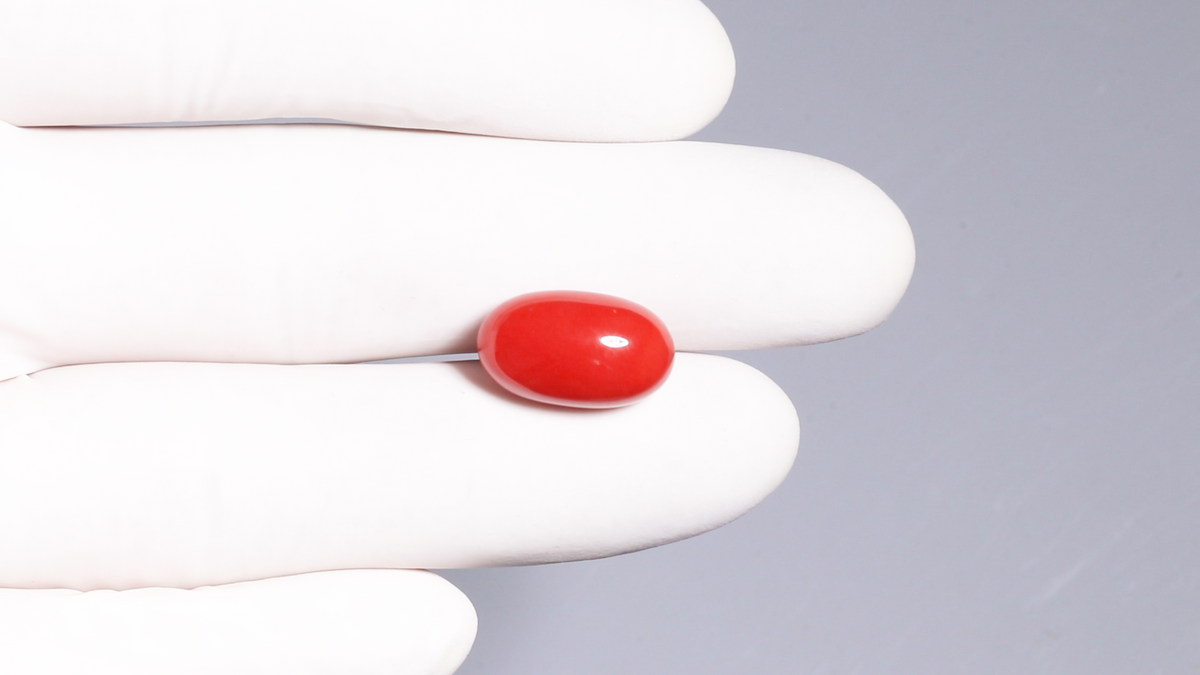 Italian Red Coral 11.50 Carats / 12.64 Ratti