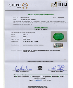 IIGJ Lab Certificate