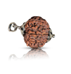 9 Mukhi