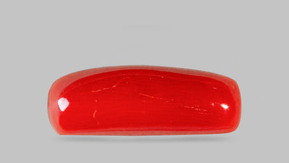 Italian Red Coral 7.71 Carats / 8.47 Ratti